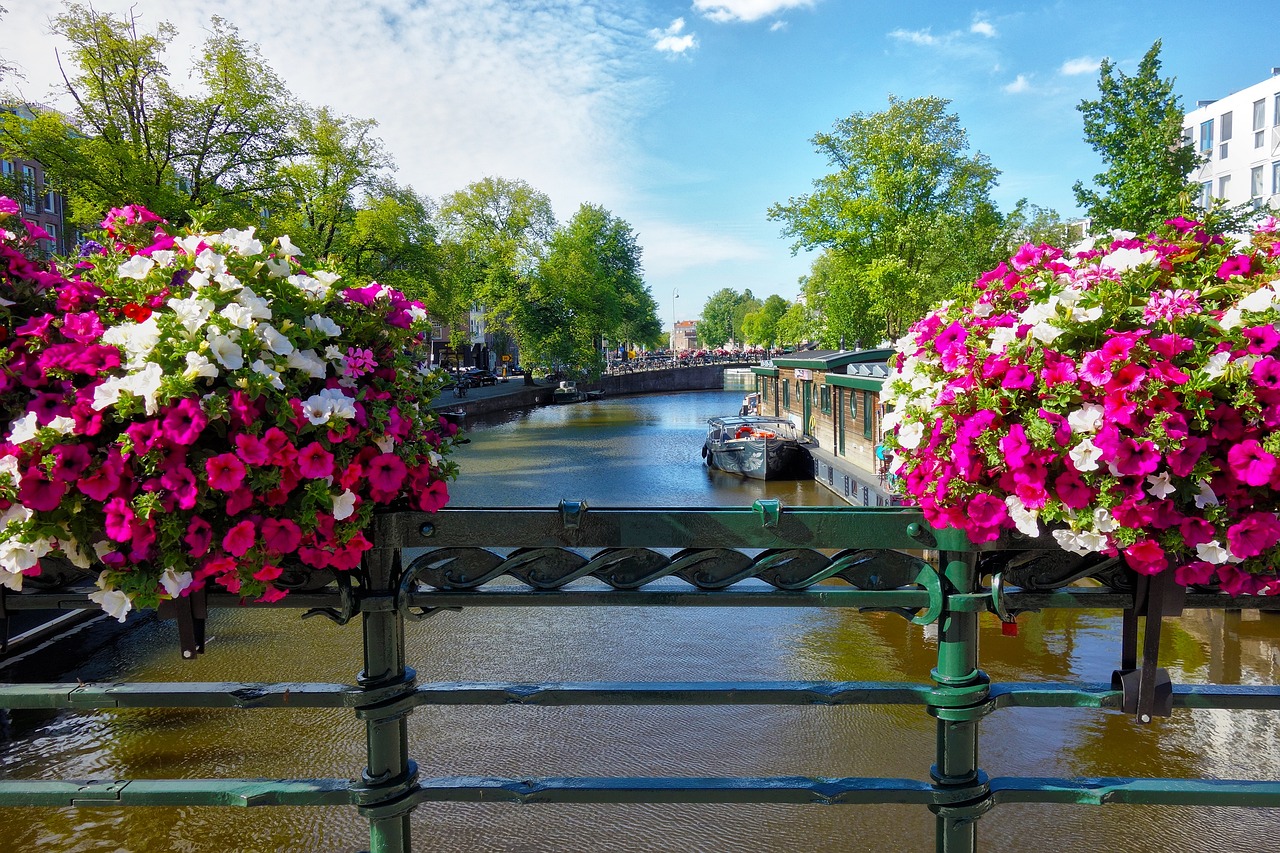 canal, rail, bridge-2817751.jpg